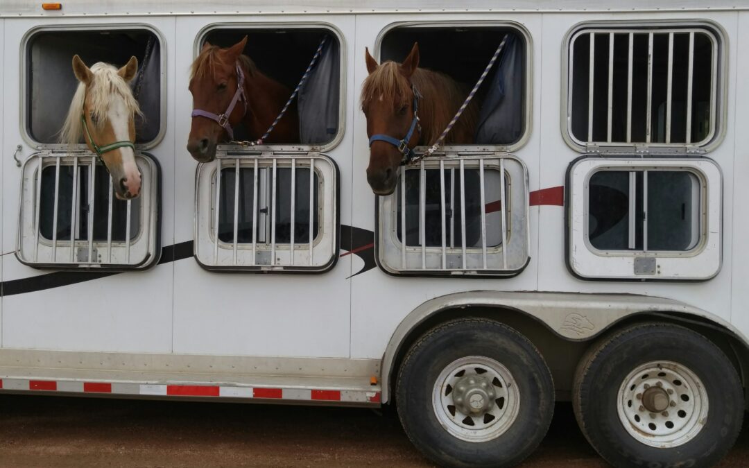 6 Reasons to Consign Your Horse Trailer