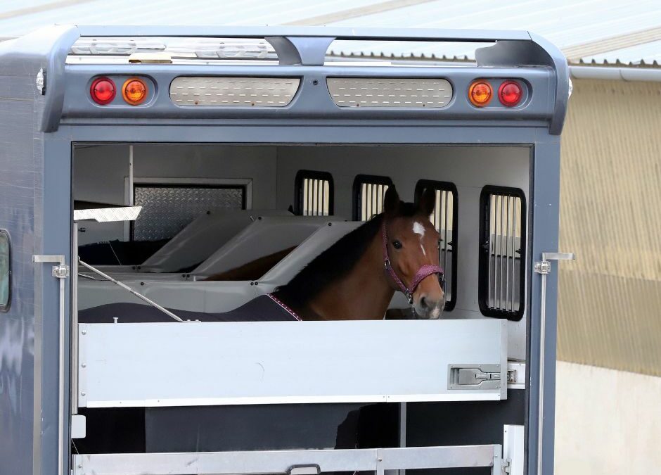 Vantage Trailers New Online Parts Store is Here: Maintain Your Horse Trailer with Ease!