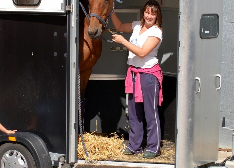 Keeping your horse safe with the right horse trailer ramp