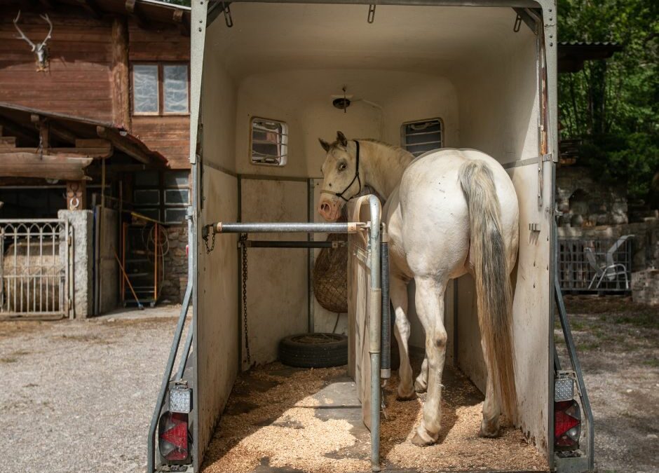 Horse Trailer Maintenance Checklist: Keeping Your Trailer in Top Condition
