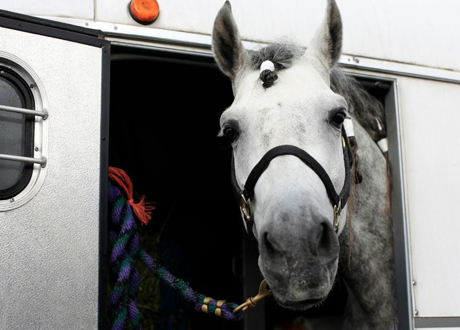 Equestrian Peace of Mind: The Top Benefits of Installing Cameras in Your Horse Trailer