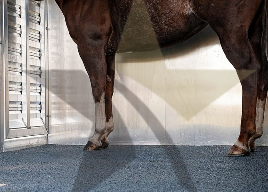 3 Reasons Why Hoof Grip Flooring is Perfect For Your Horse Trailer